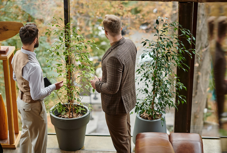 tendencias en descanso